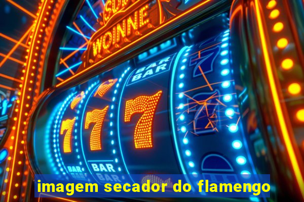 imagem secador do flamengo